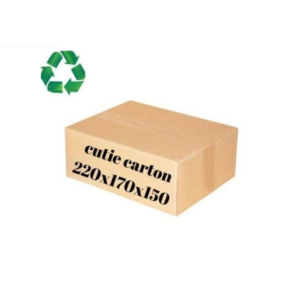 Cutie carton 220x170x150 mm, natur